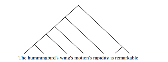 'The hummingbird's wing's motion's rapidity is remarkable', as pictured by a Left-Branching Sentence Tree